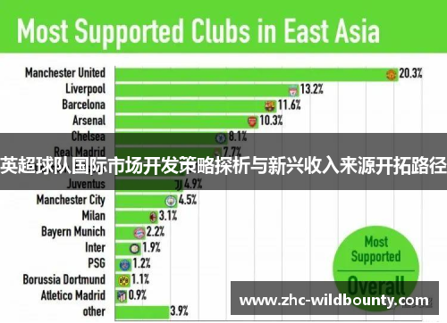 英超球队国际市场开发策略探析与新兴收入来源开拓路径